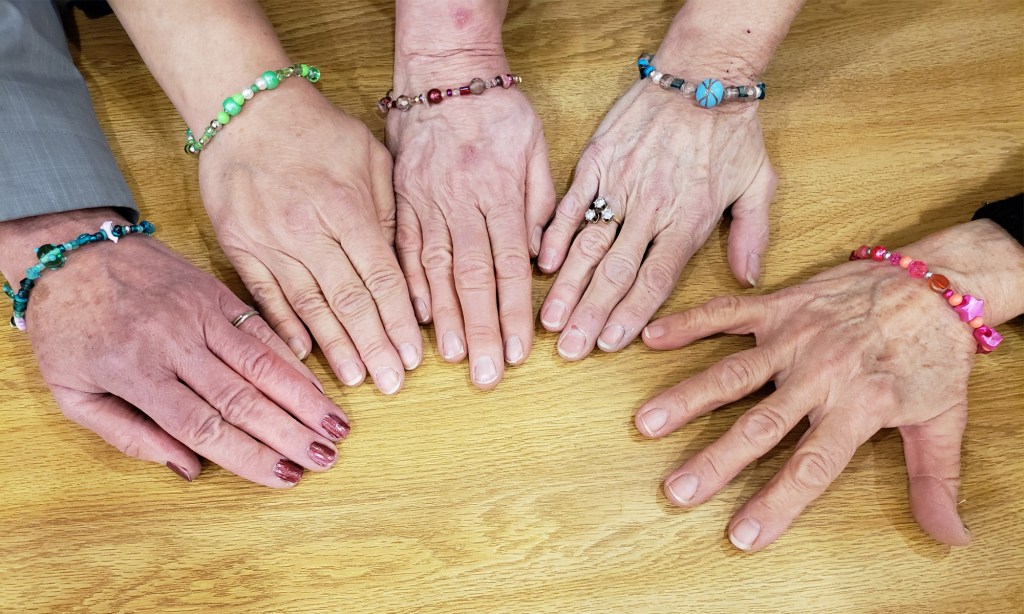 Jodi McGee Entertains the RAA&nbsp;members!