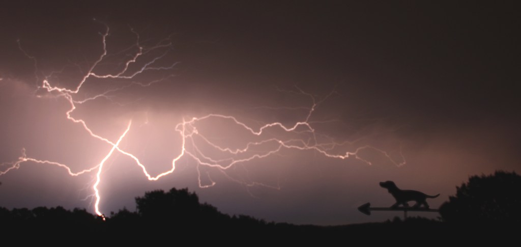 Member Diane Brown’s&nbsp;Photography